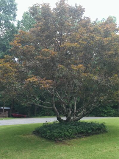 Hillabee - Alexander City, AL