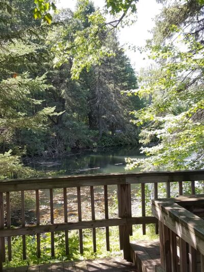 Carnegie Bay Trail - Alexandria Bay, NY