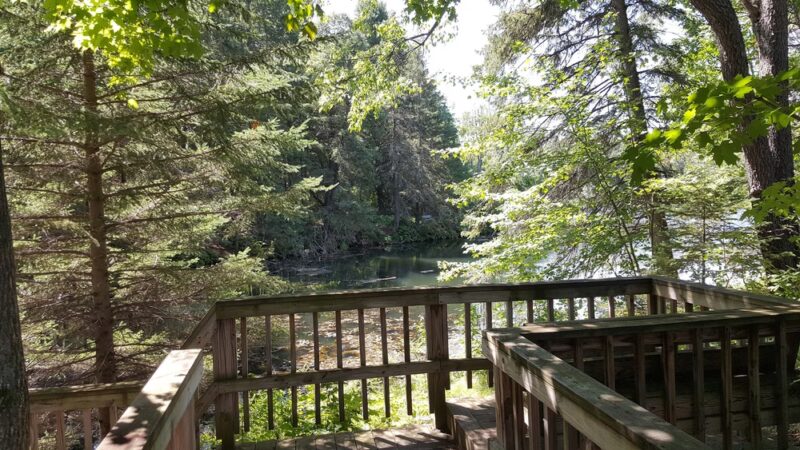 Carnegie Bay Trail - Alexandria Bay, NY