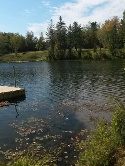 Carnegie Bay Trail - Alexandria Bay, NY