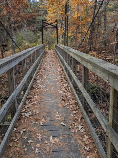Otter Creek Preserve - Alexandria Bay, NY