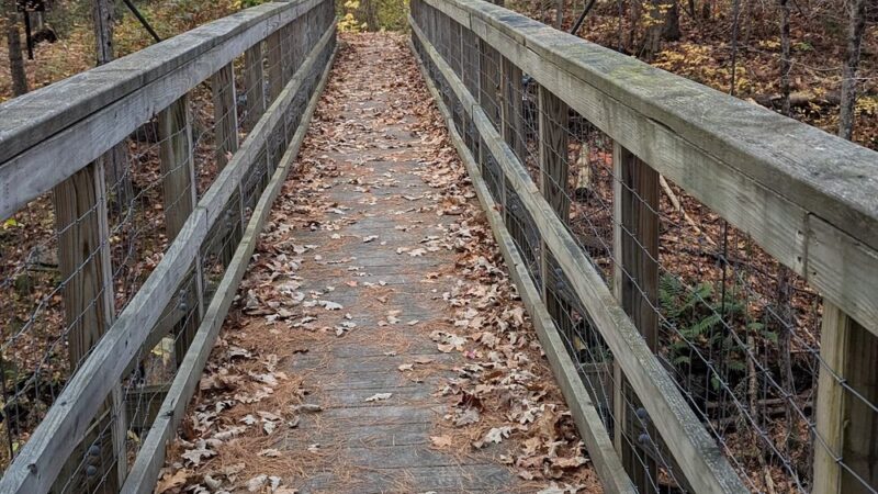 Otter Creek Preserve - Alexandria Bay, NY