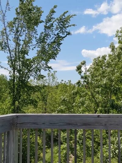Otter Creek Preserve - Alexandria Bay, NY