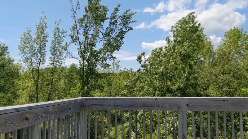 Otter Creek Preserve - Alexandria Bay, NY