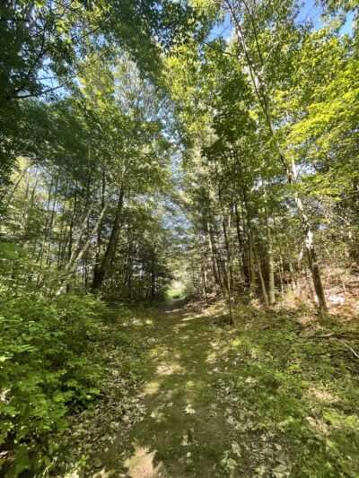 Otter Creek Preserve - Alexandria Bay, NY
