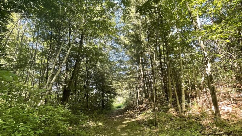 Otter Creek Preserve - Alexandria Bay, NY