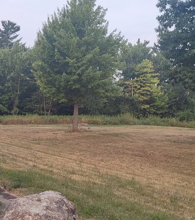Rest Area / Parking Area - Alexandria Bay, NY