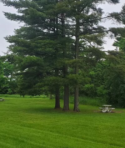 Rest Area / Parking Area - Alexandria Bay, NY