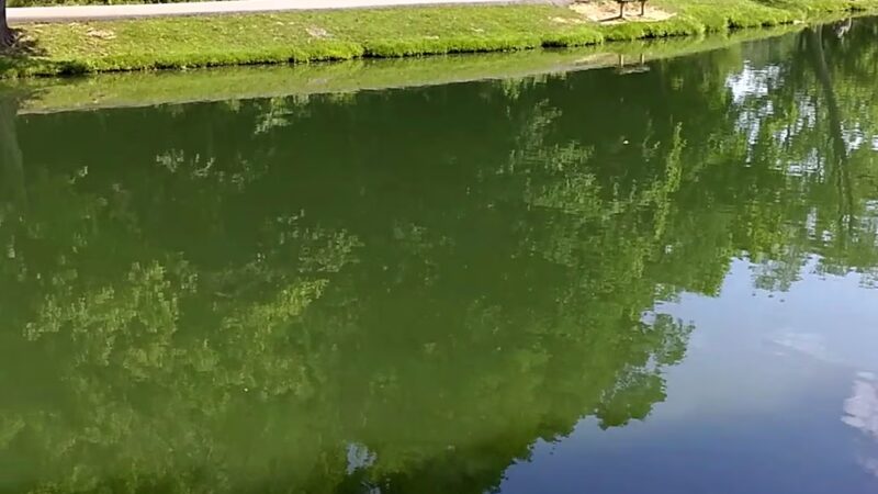 Alexandria Community Park - Alexandria, KY