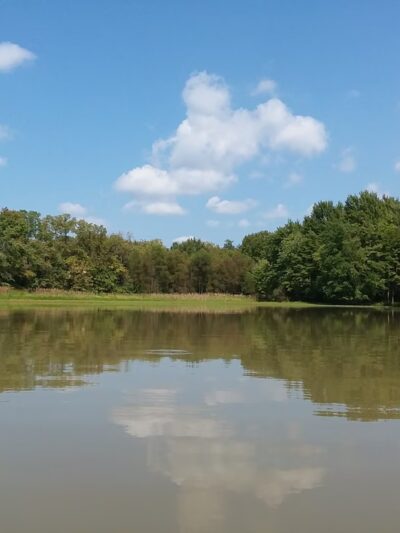 Campbell County Parks & Rec - Alexandria, KY