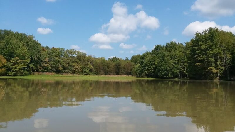 Campbell County Parks & Rec - Alexandria, KY