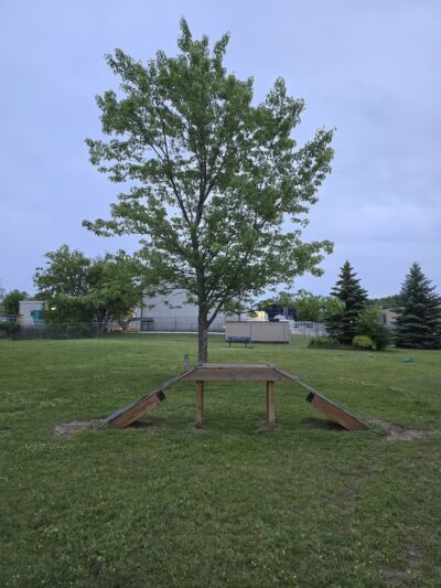 DeMeuse Park - Algoma, WI
