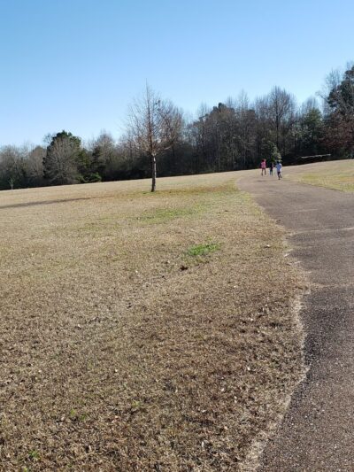 Aliceville City Park - Aliceville, AL