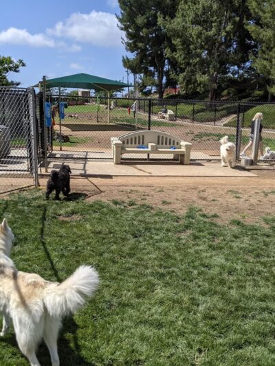 Creekside Park Dog Park - Aliso Viejo, CA