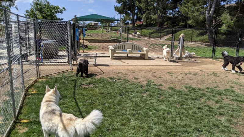 Creekside Park Dog Park - Aliso Viejo, CA