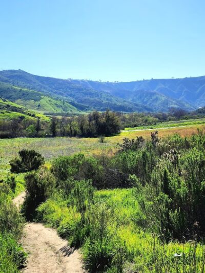 Creekside Park Dog Park - Aliso Viejo, CA