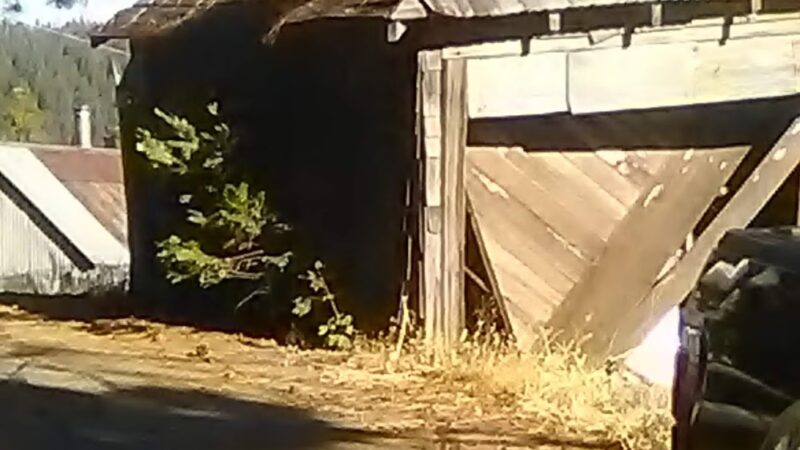 Alleghany Community Park - Alleghany, CA