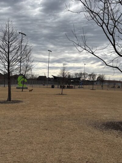 Bark Yard - Allen, TX