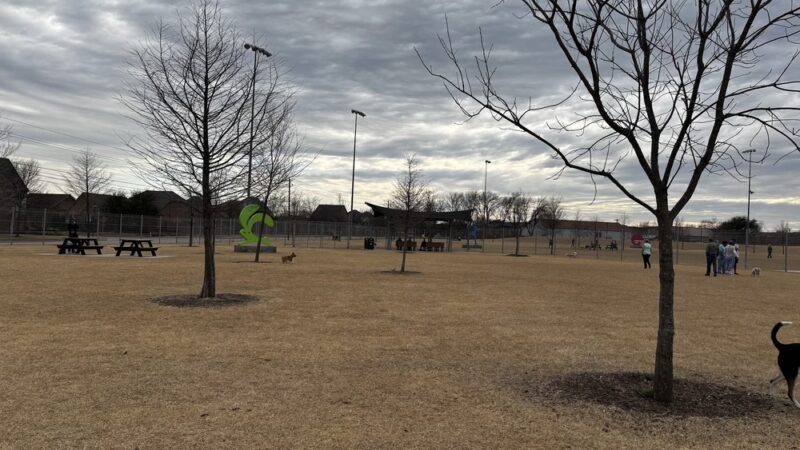 Bark Yard - Allen, TX