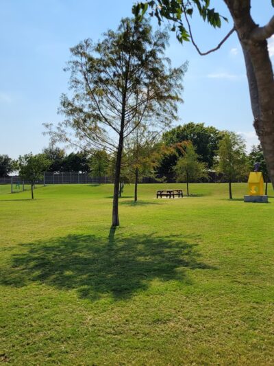 Bark Yard - Allen, TX