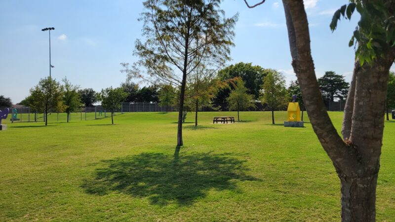 Bark Yard - Allen, TX