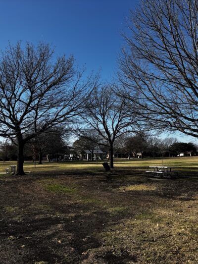 Country Meadows Park - Allen, TX