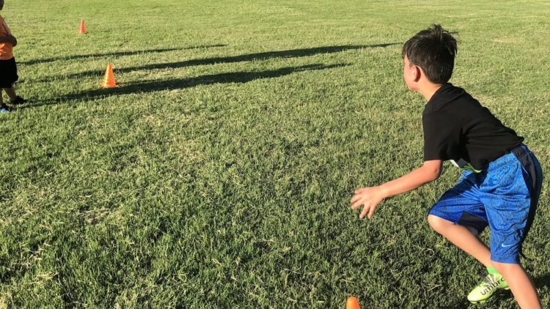 Country Meadows Park - Allen, TX