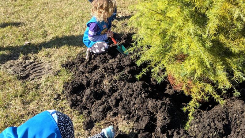Country Meadows Park - Allen, TX
