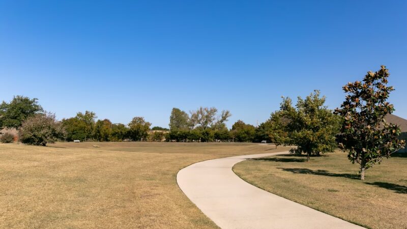 Orchards Park - Allen, TX