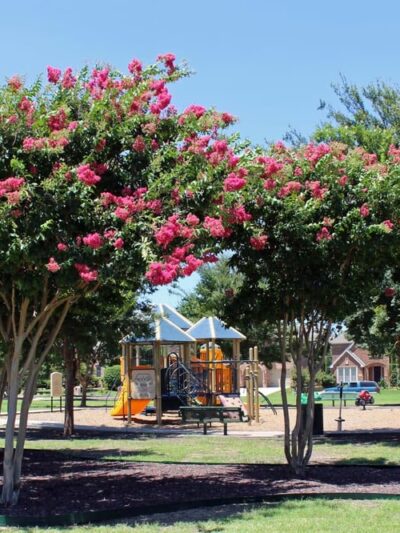 Quail Run Park - Allen, TX