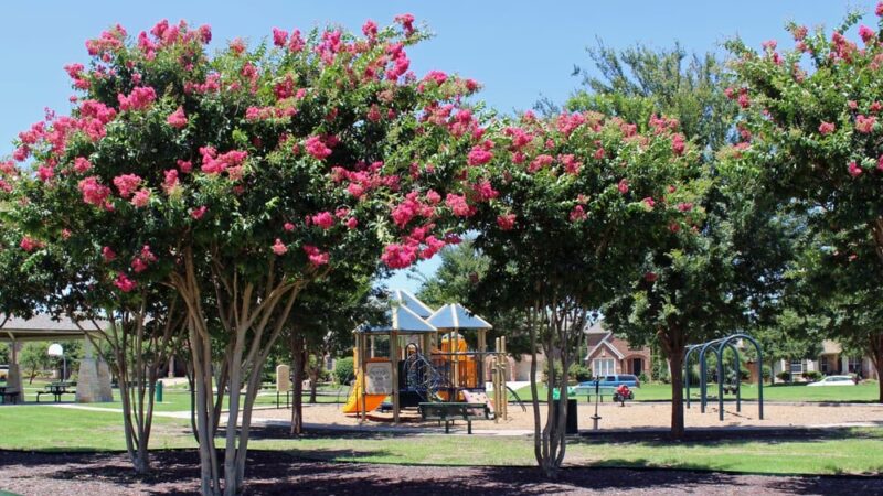 Quail Run Park - Allen, TX