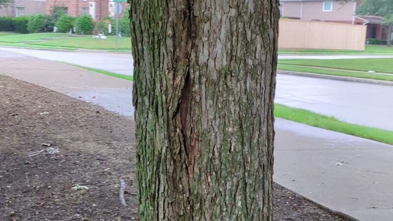 Saint Andrews Park - Allen, TX