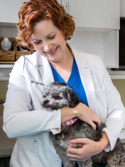 Allendale Veterinary Hospital - Allendale, NJ