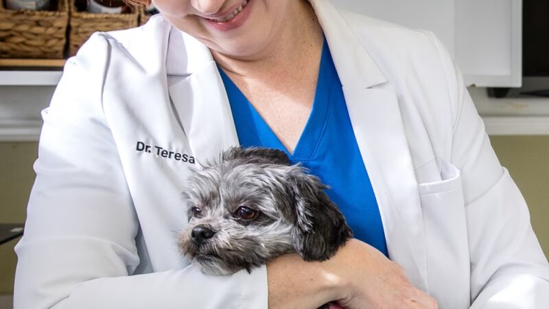 Allendale Veterinary Hospital - Allendale, NJ