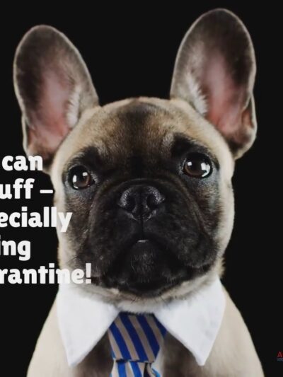 Allendale Veterinary Hospital - Allendale, NJ