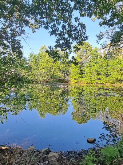 Crestwood Park - Allendale, NJ