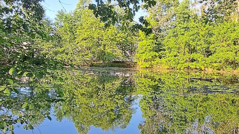 Crestwood Park - Allendale, NJ