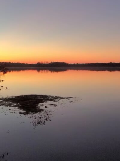 Assunpink Wildlife Management Area - Allentown, NJ