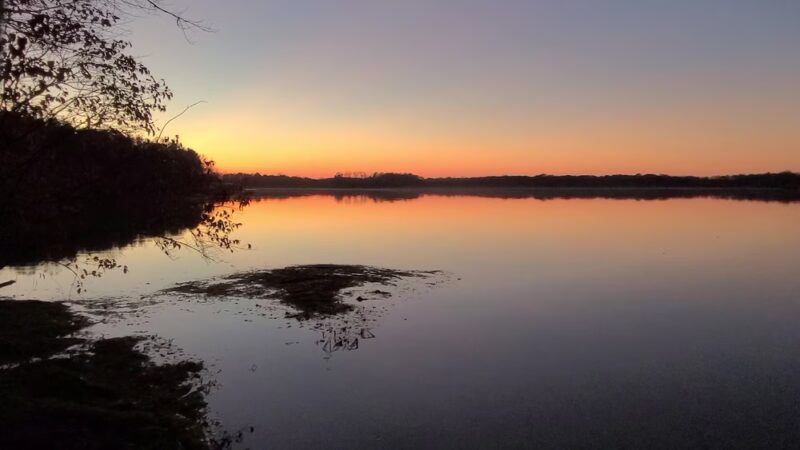 Assunpink Wildlife Management Area - Allentown, NJ
