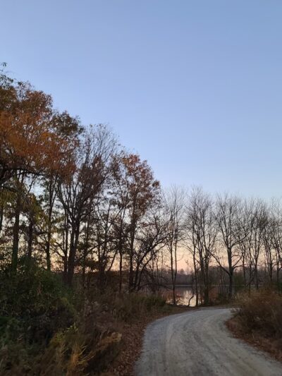 Assunpink Wildlife Management Area - Allentown, NJ