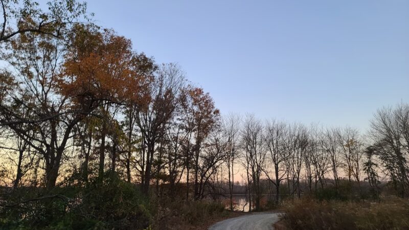 Assunpink Wildlife Management Area - Allentown, NJ