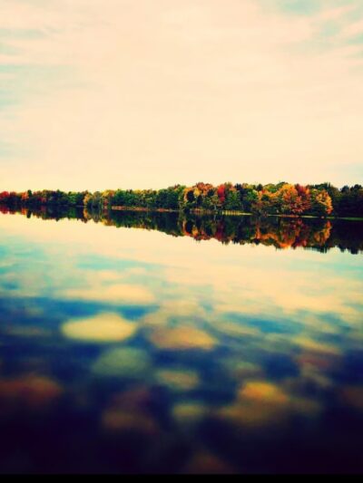 Assunpink Wildlife Management Area - Allentown, NJ