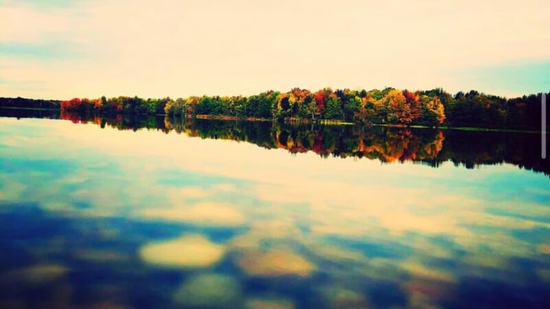 Assunpink Wildlife Management Area - Allentown, NJ