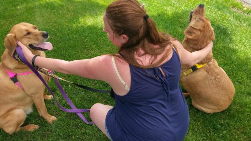 Dorney Dog Walk - Allentown, PA