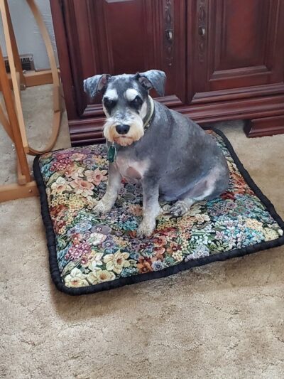 GINAS HAPPY HOUND. - Allison Park, PA