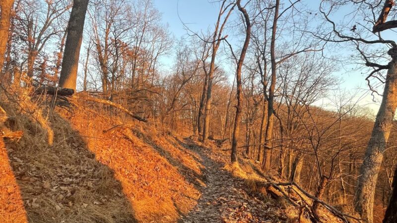 Green Trail Trailhead - Allison Park, PA