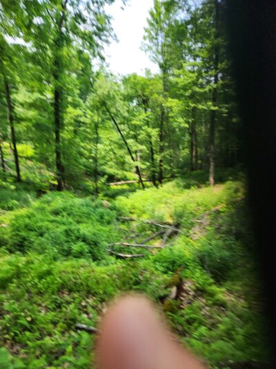 Green Trail Trailhead - Allison Park, PA