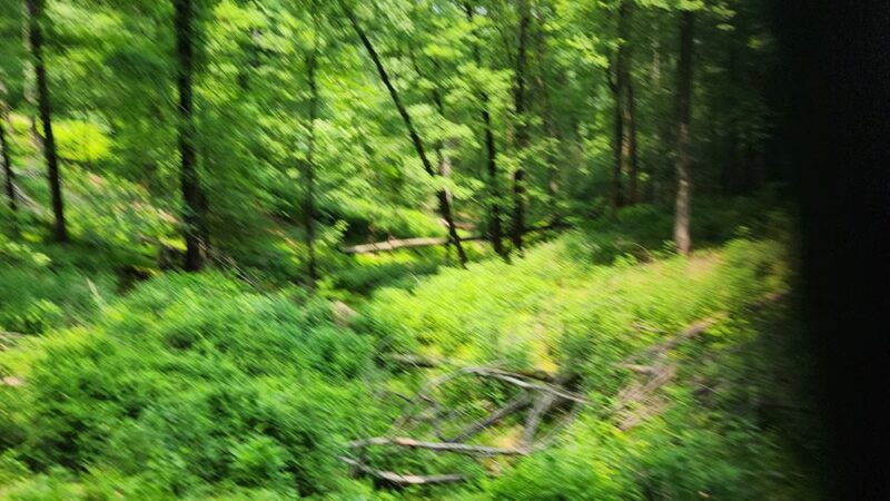 Green Trail Trailhead - Allison Park, PA