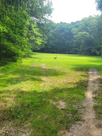Hartwood Acres Park Parking - Allison Park, PA