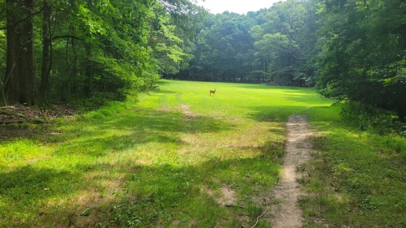 Hartwood Acres Park Parking - Allison Park, PA